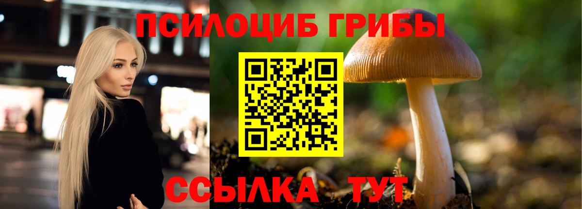 Новоуральск  Псилоцибиновые грибы Magic Shrooms  Вход с VPN  Галлюциногенные грибы прущие грибы 